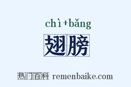 翅膀是什么意思的图片